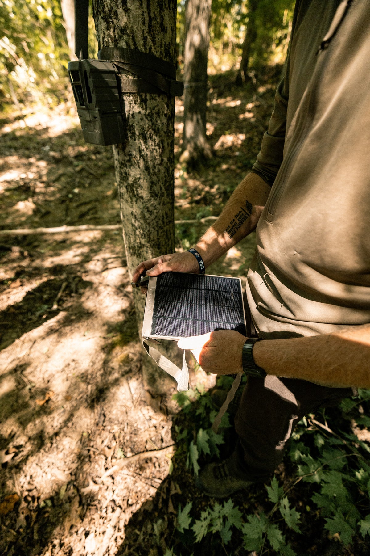 A person in a forest setting holds a small solar power station connected to a tree-mounted tracker or camera. The scene shows outdoor foliage, dappled sunlight, and part of the person's torso and arm.