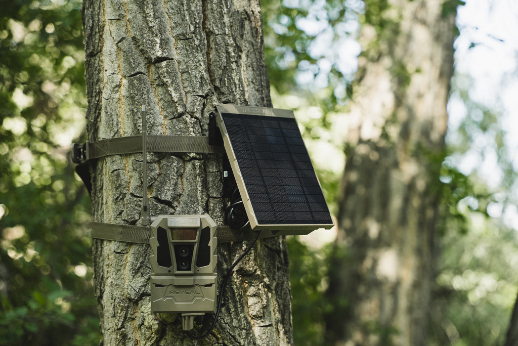 A trail camera with an attached angled solar panel, mounted on a tree trunk outdoors in a forest setting.