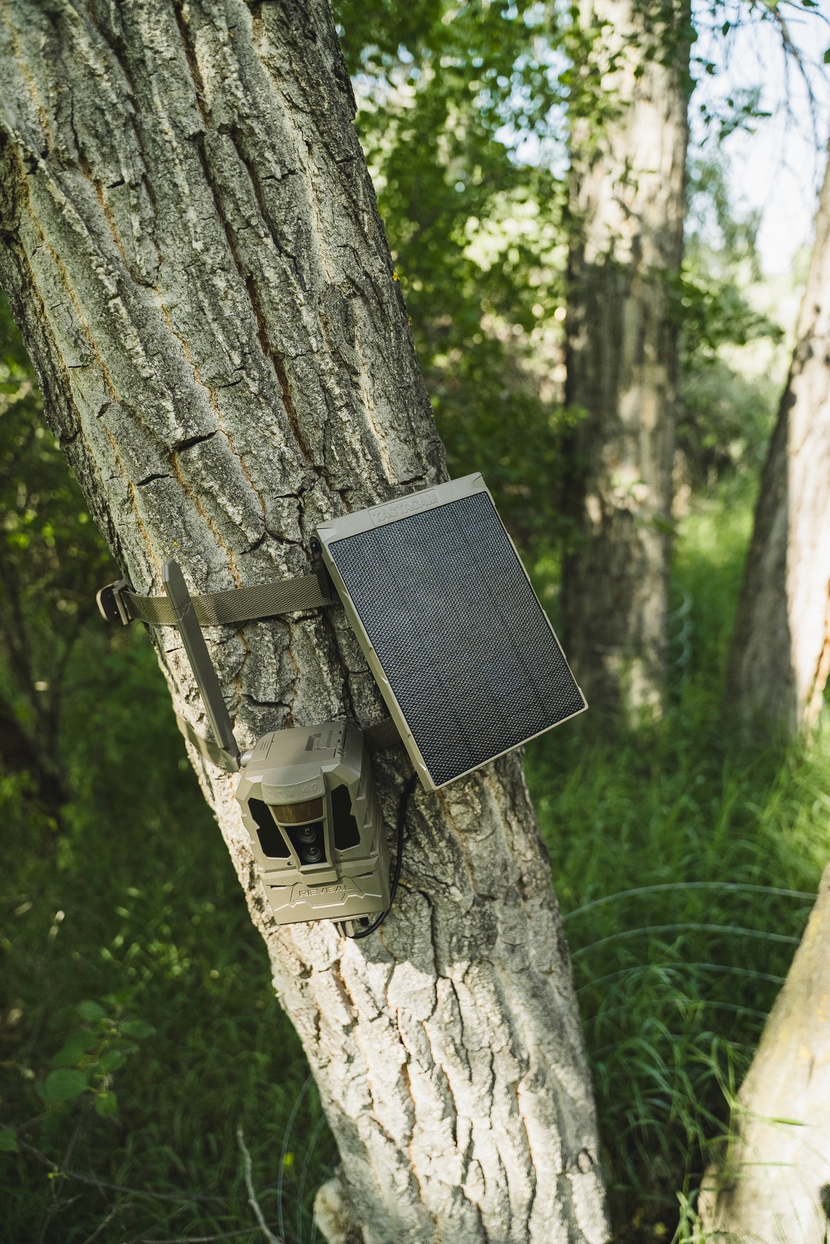 REVEAL by Tactacam Solar Panel R5