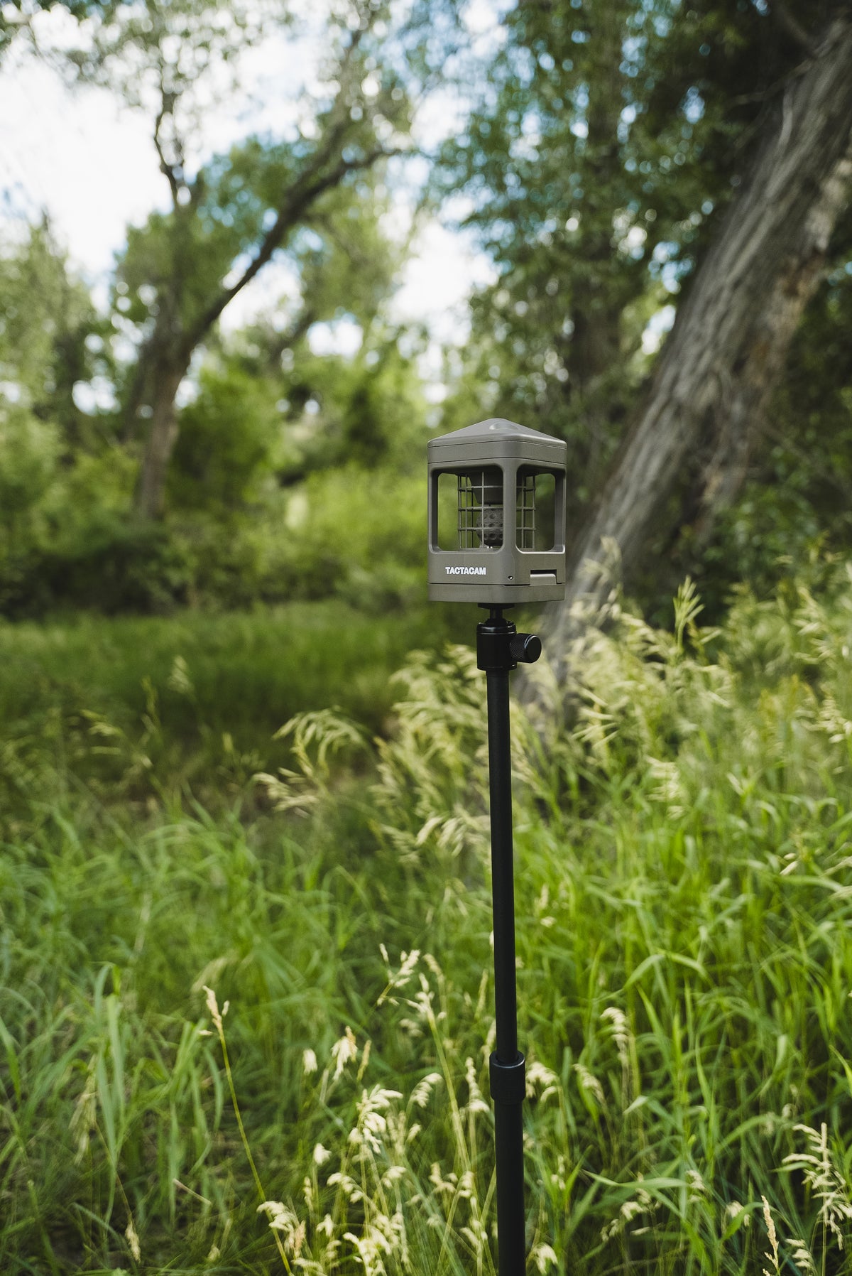 A gray and black trail camera mounted on a black pole outdoors in a grassy, wooded area with trees in the background.
