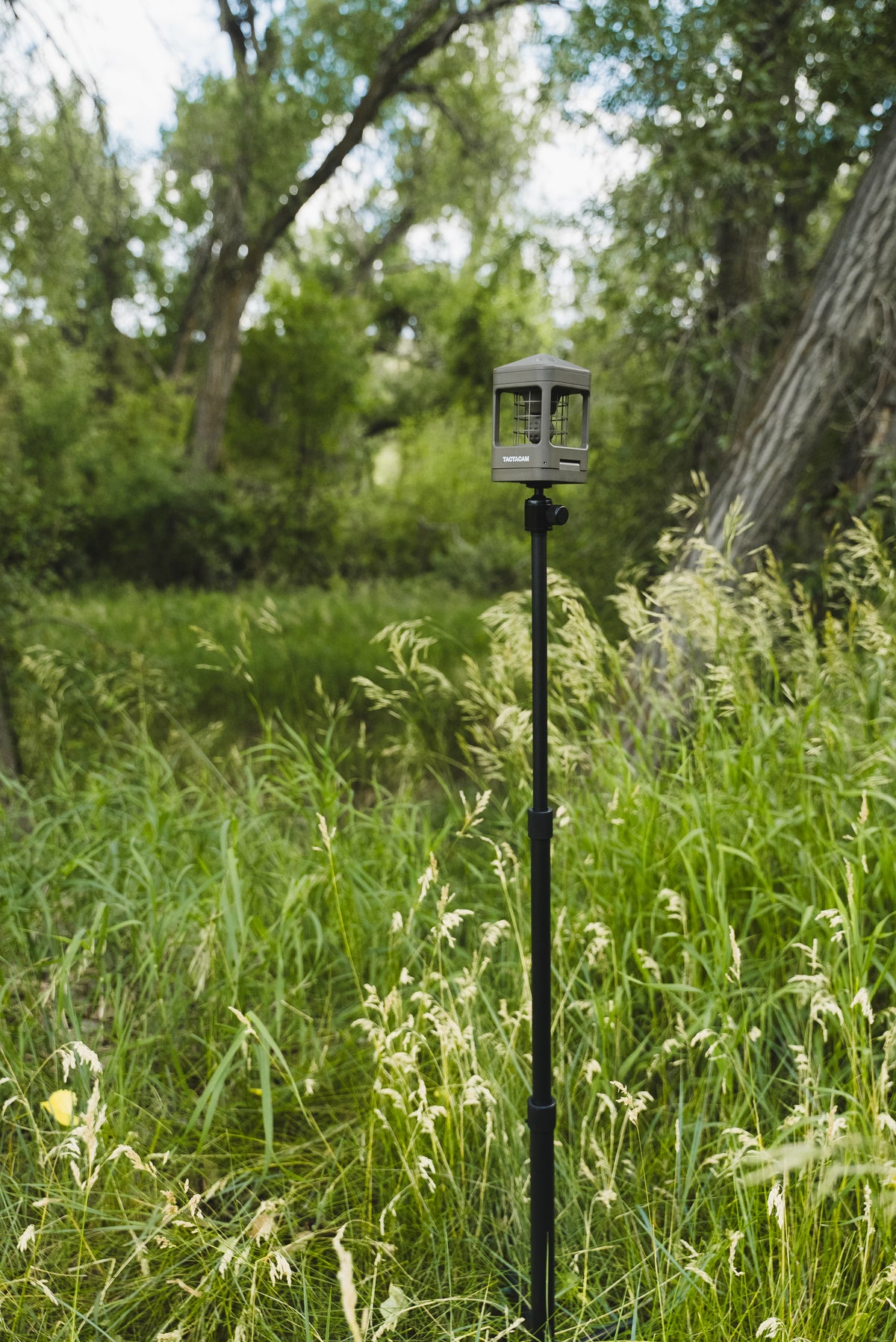 REVEAL by Tactacam Wind Sensor